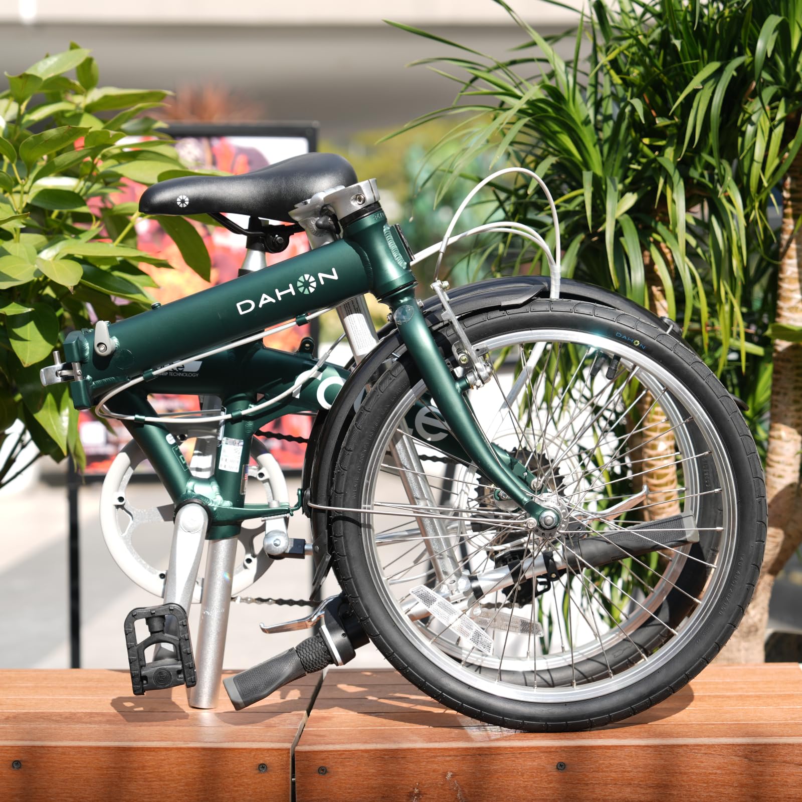 Amazon.com: Dahon Route 20 英吋(約50.8 公分)成人折疊自行車,島野7